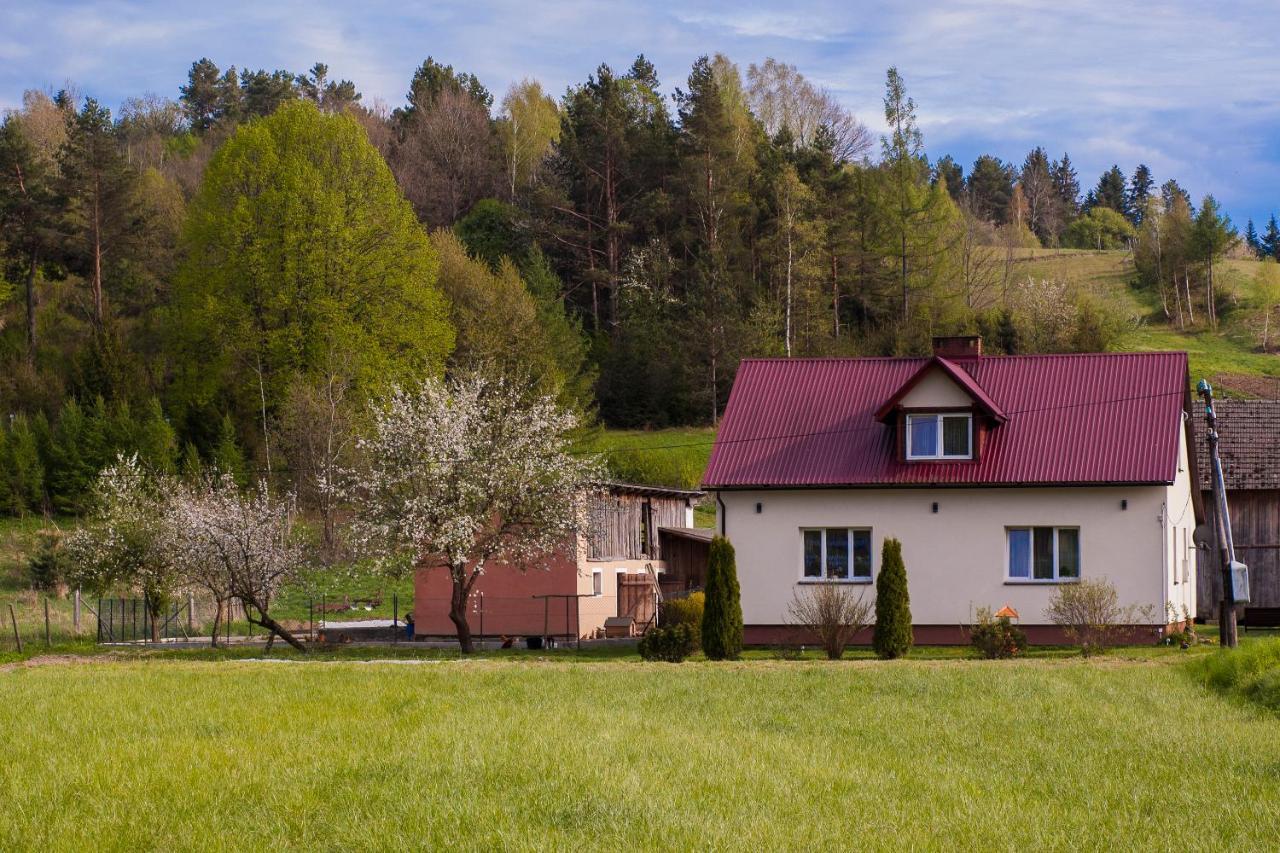 U Jadzi Pogorze Przemyskie Bircza Exterior photo
